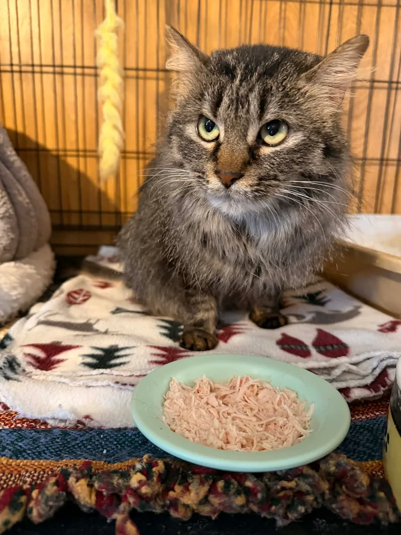 Felicity thumbnail 4