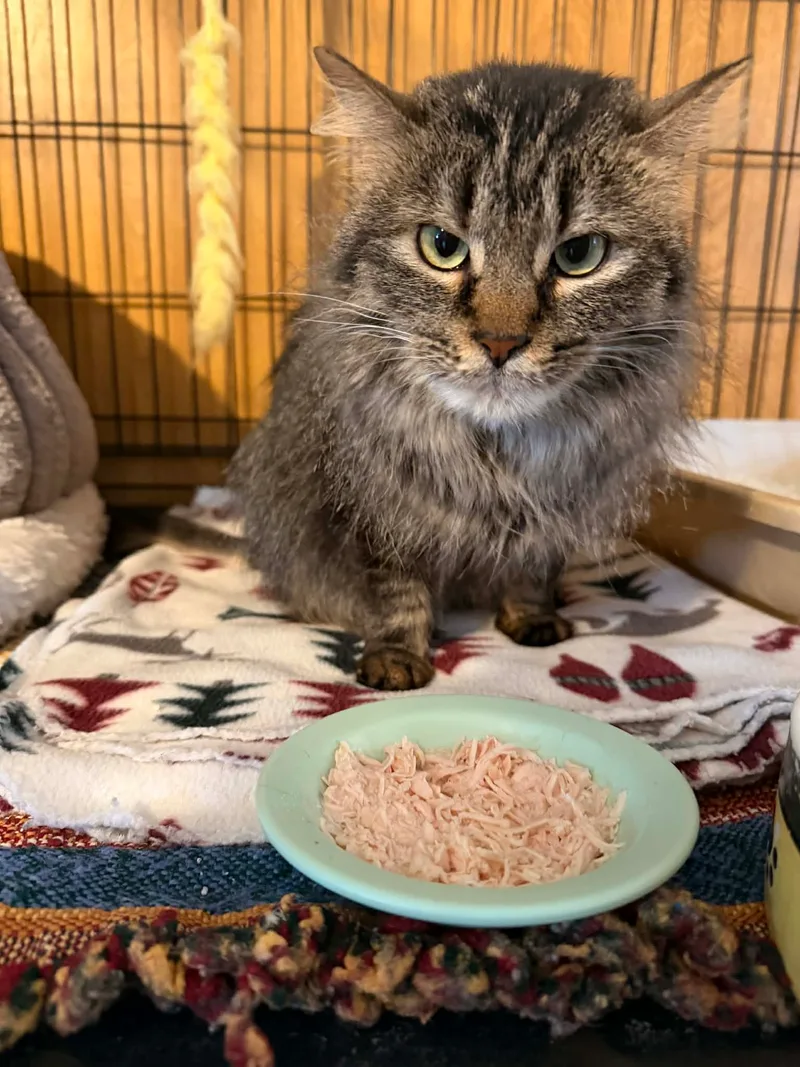 Felicity thumbnail 3