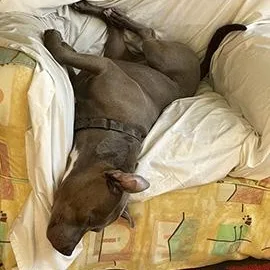 Fin Is In Maine thumbnail 2