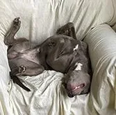 Fin Is In Maine thumbnail 3