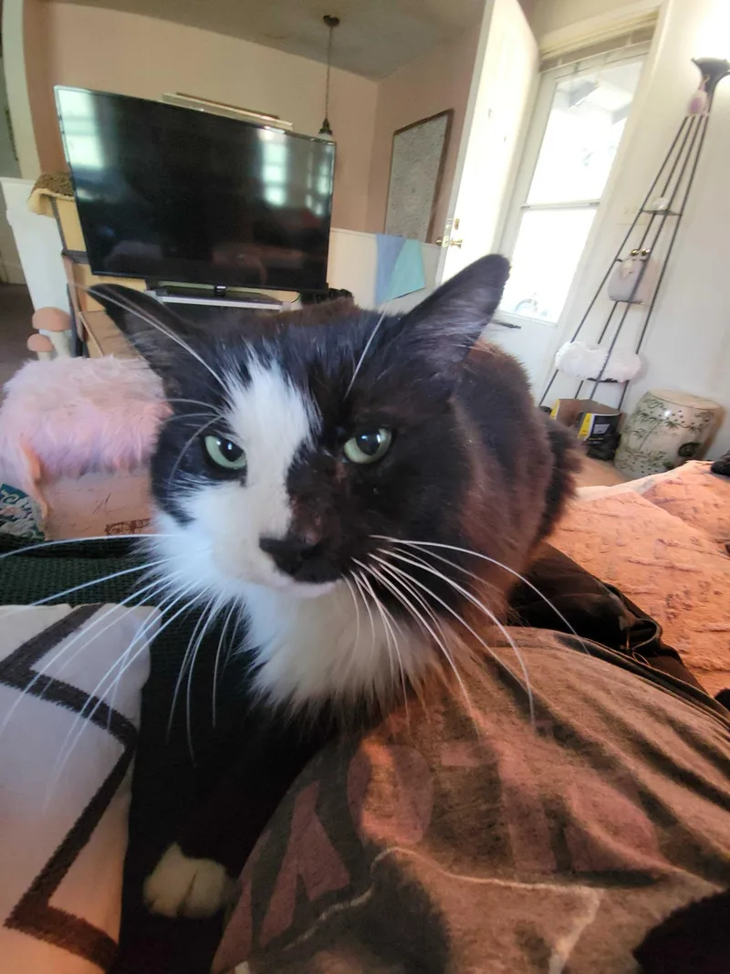 Gilgamesh thumbnail 2