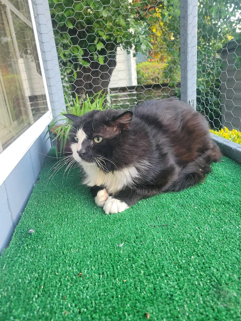 Gilgamesh thumbnail 3