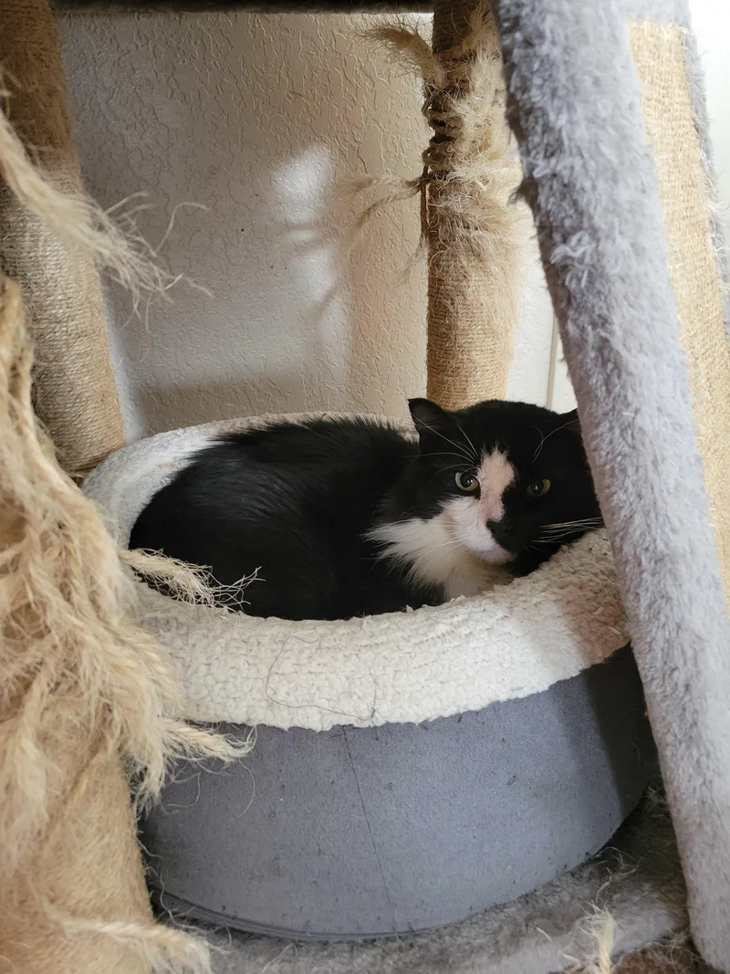 Gilgamesh thumbnail 4