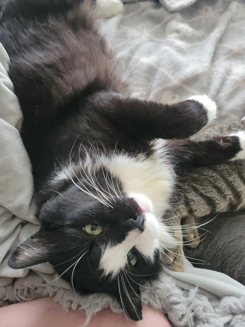 Gilgamesh thumbnail 6