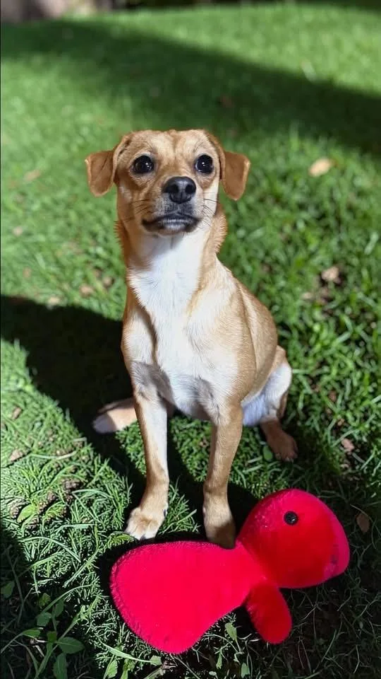 Penny Marie thumbnail 2