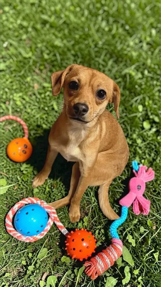 Penny Marie thumbnail 3