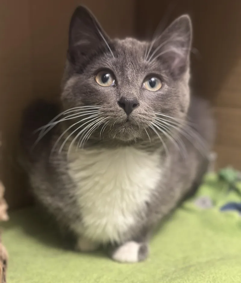 Birdie And Rizzo thumbnail 3