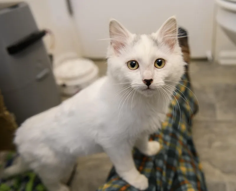 Birdie And Rizzo thumbnail 4