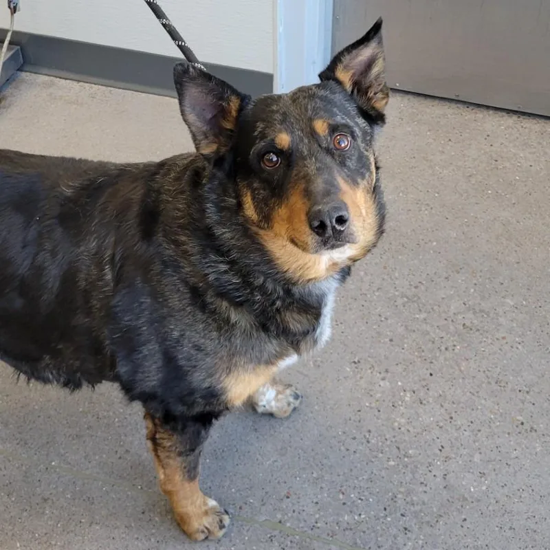 Penelope thumbnail 5