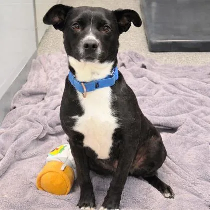 Catherine Ann thumbnail 2