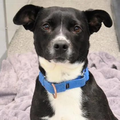 Catherine Ann thumbnail 3