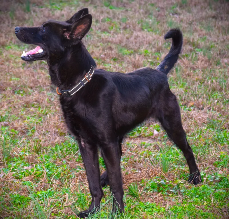 Jettlovebug!!!! thumbnail 4