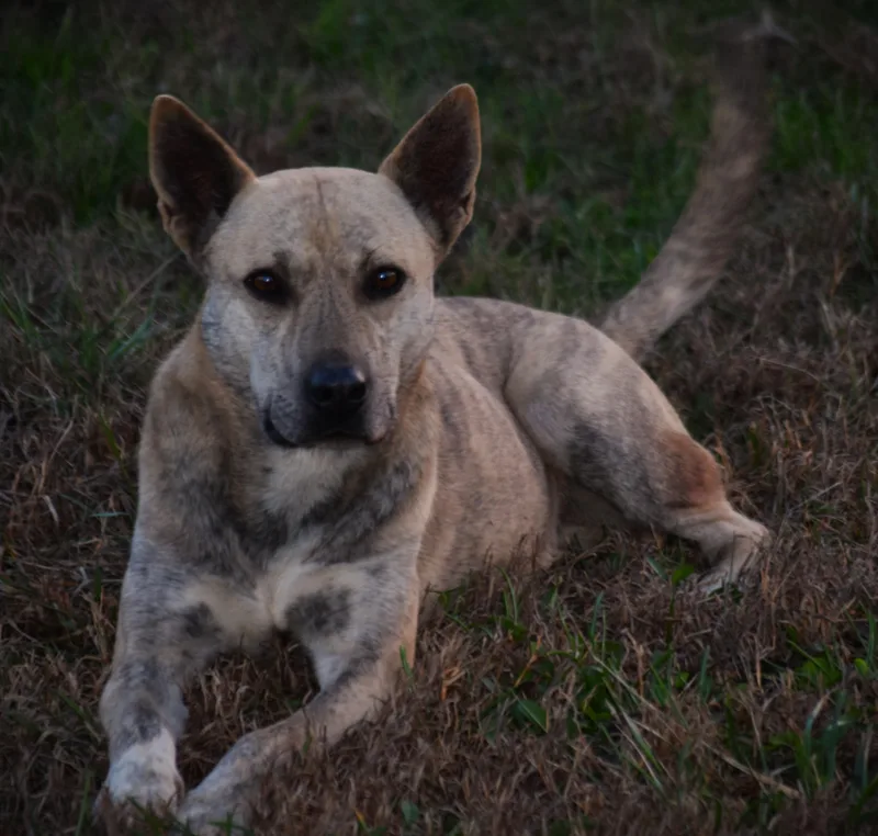 Lilliputunwanted : thumbnail 2