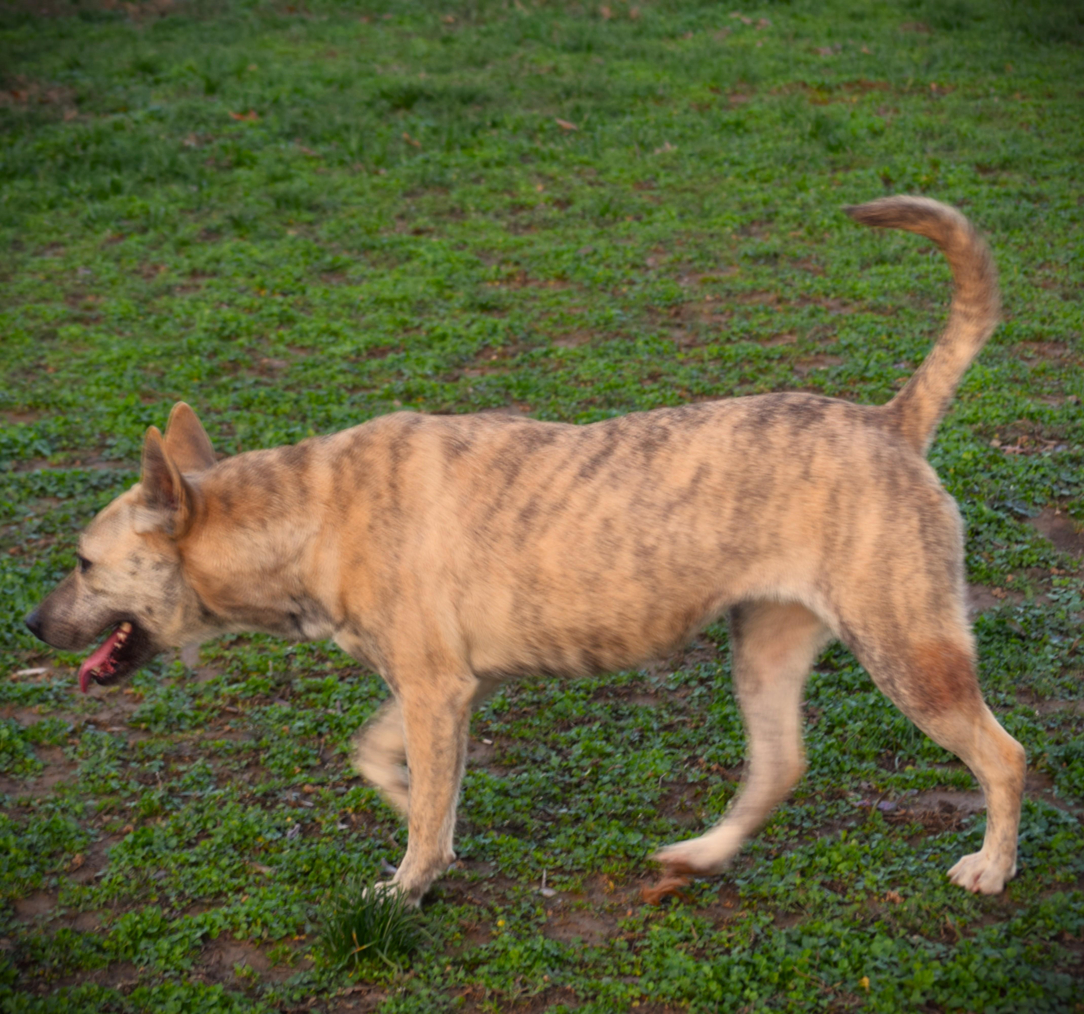 Lilliputunwanted : thumbnail 4