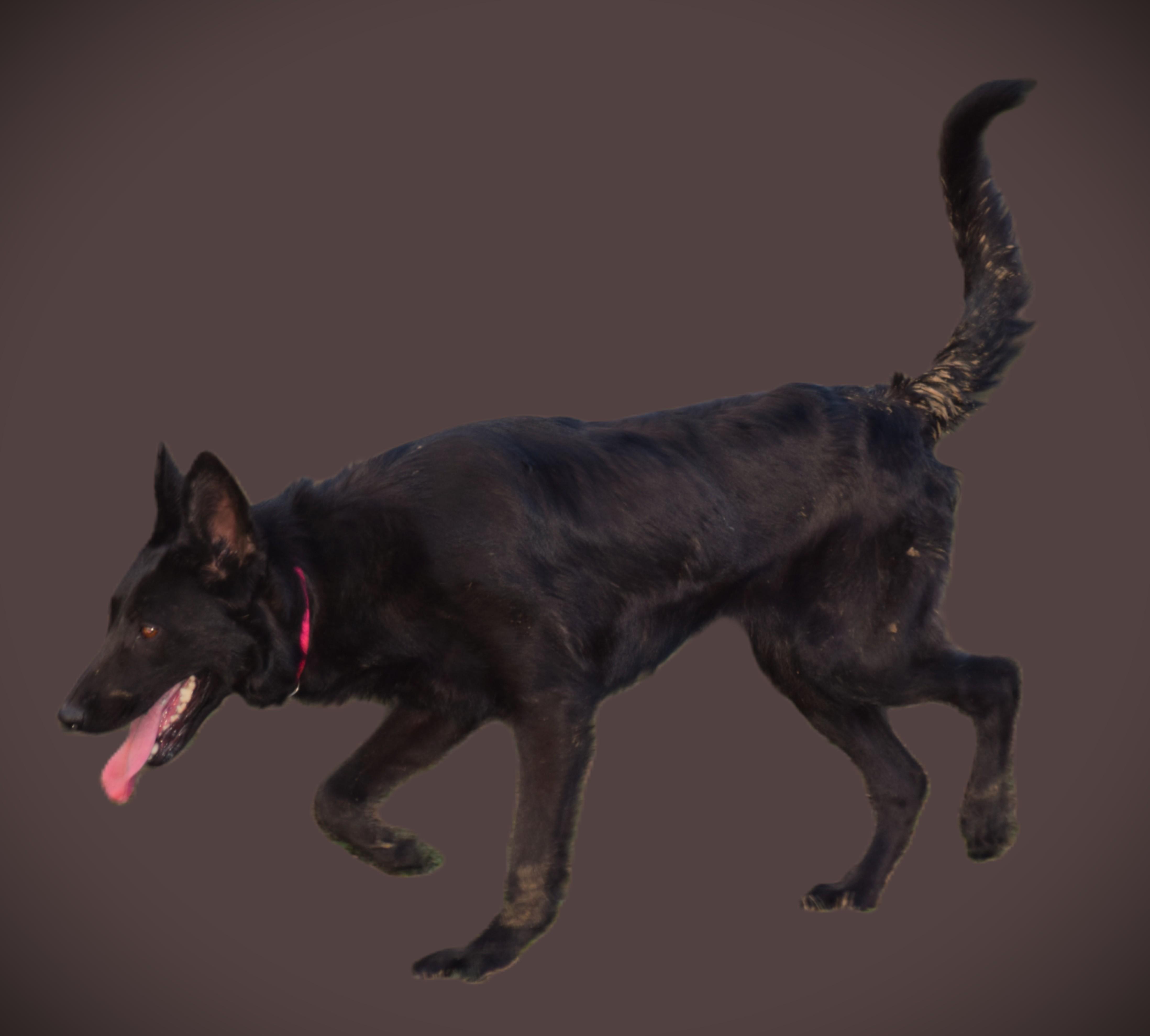 Olive Smartloyal thumbnail 5