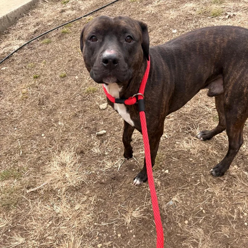 King Ludwig Ii thumbnail 3