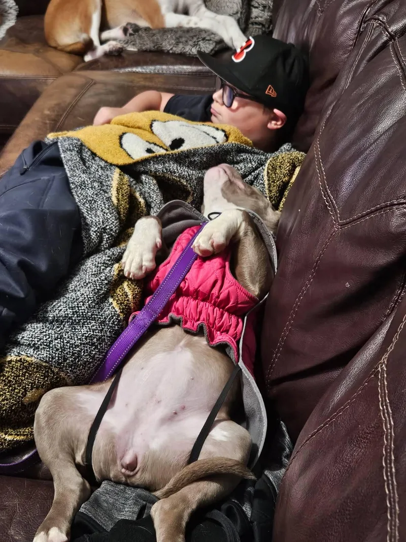 Captain Morgan thumbnail 4