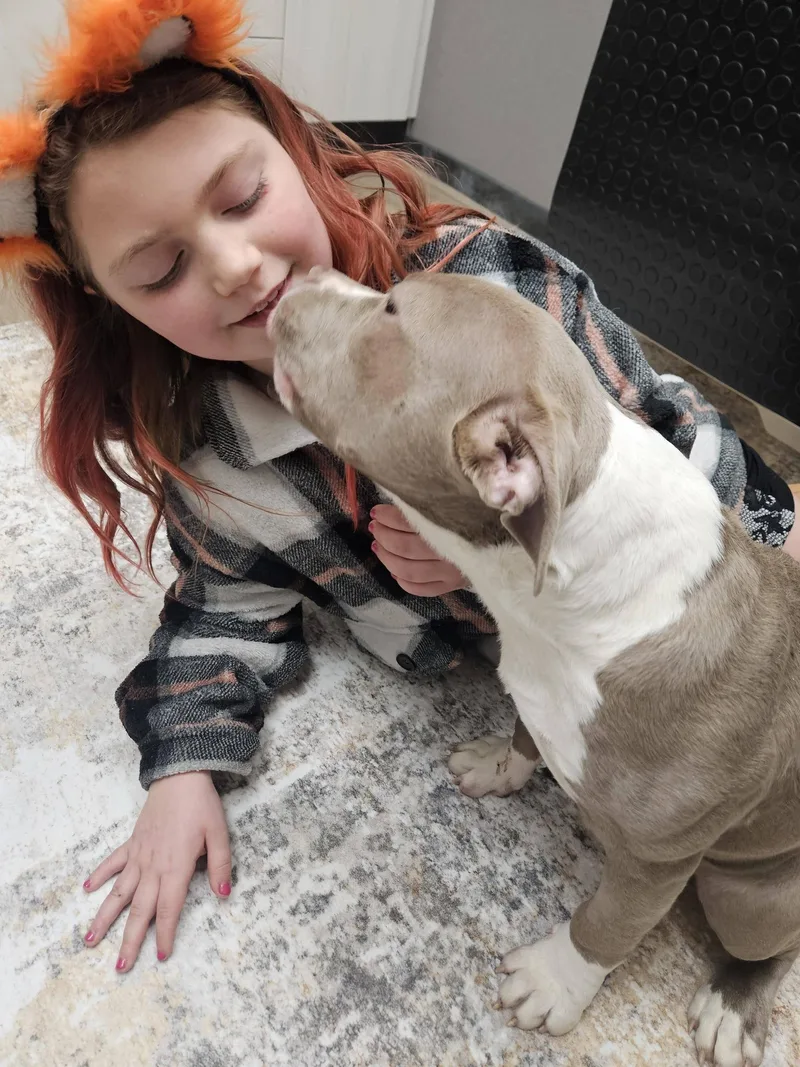 Captain Morgan thumbnail 5