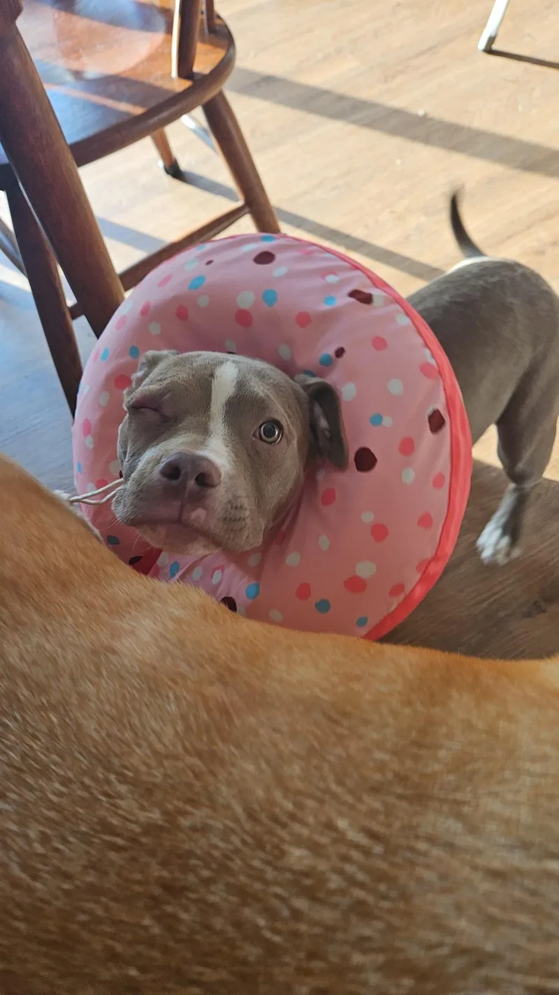 Captain Morgan thumbnail 6