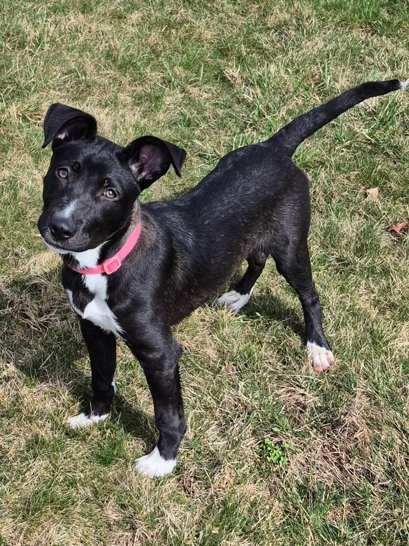 Markayla thumbnail 2