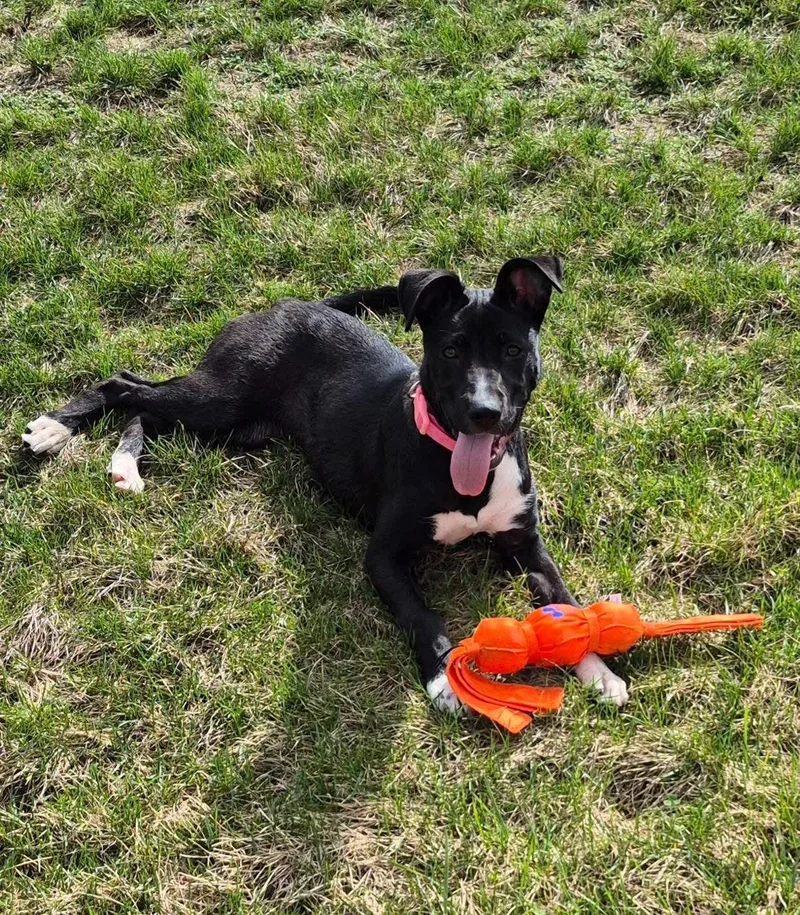 Markayla thumbnail 3