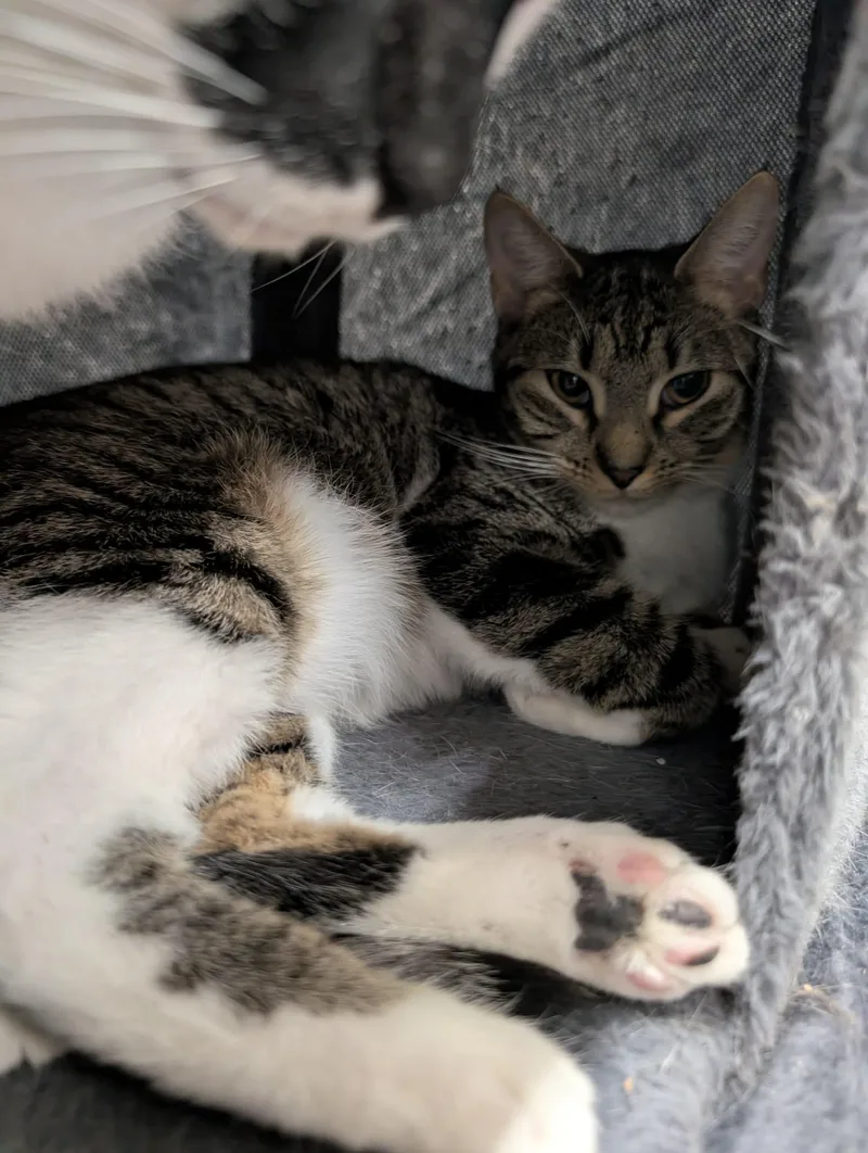 Lorraine thumbnail 2