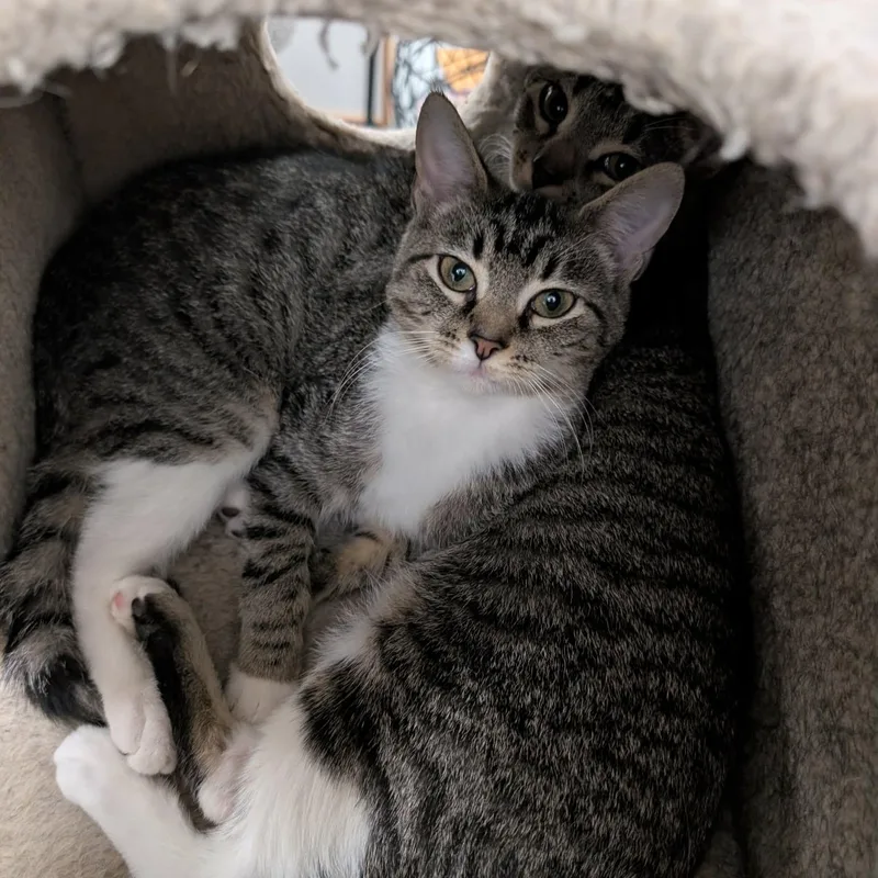 Lorraine thumbnail 3