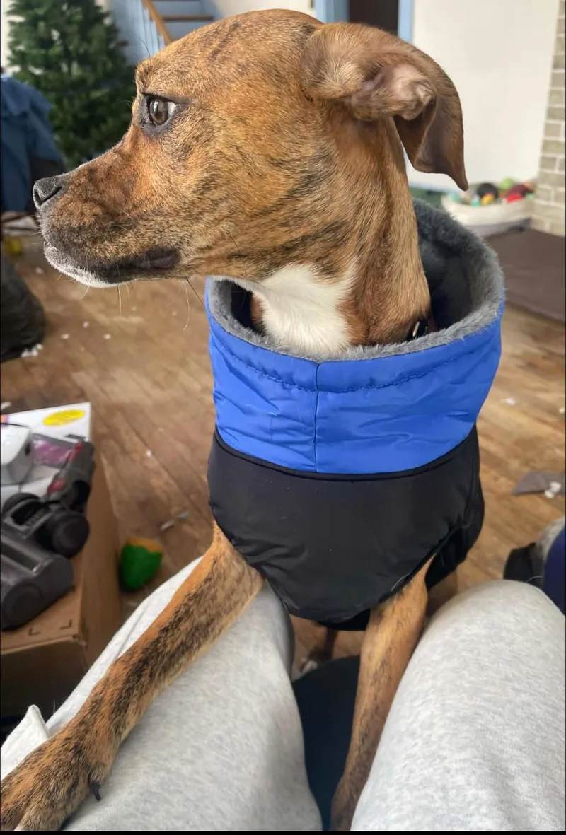 Mr. Carl Bones thumbnail 4