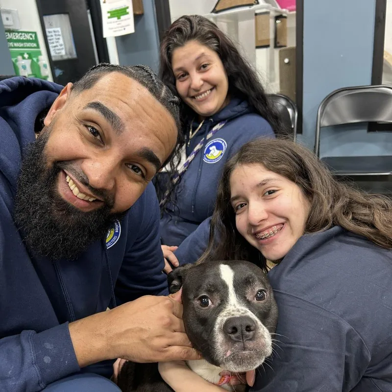 Norman Thayer thumbnail 2