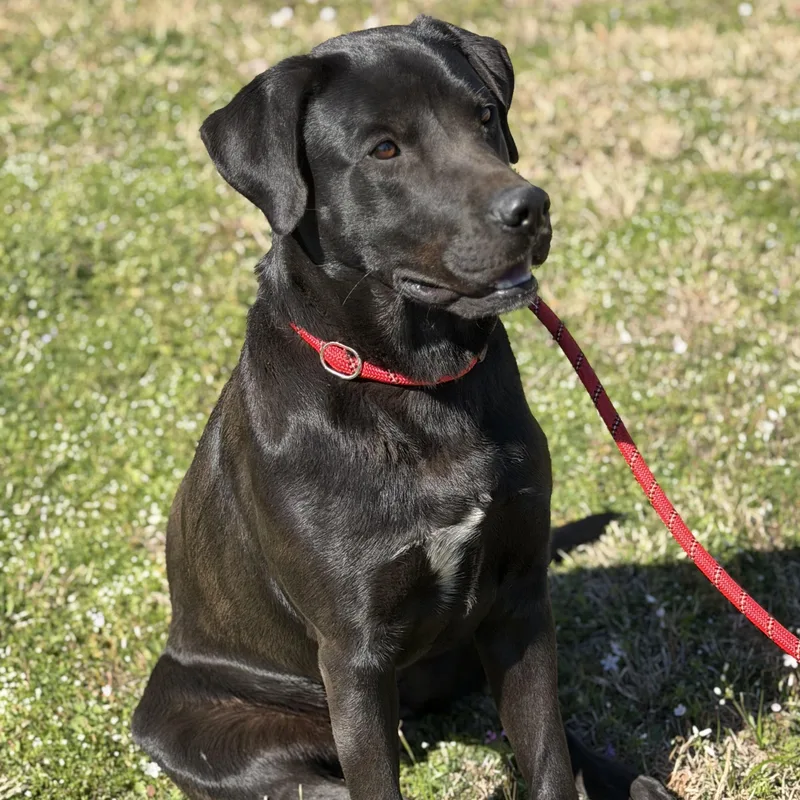 Mississippi thumbnail 3