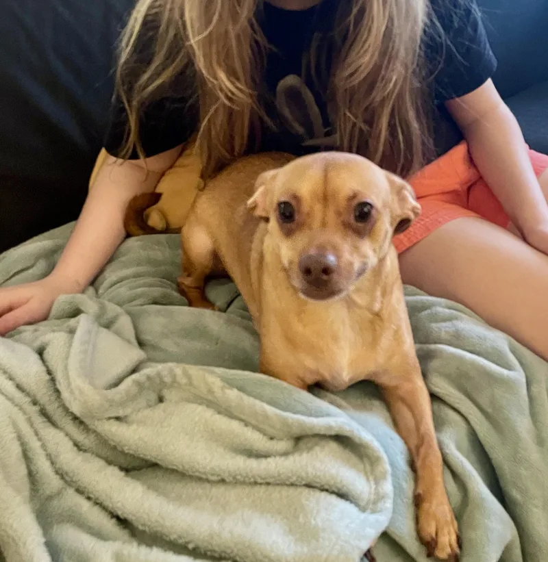 Best Buddy thumbnail 4