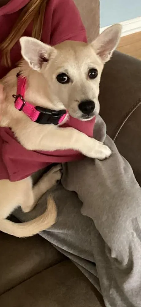 Luna Daisy thumbnail 2