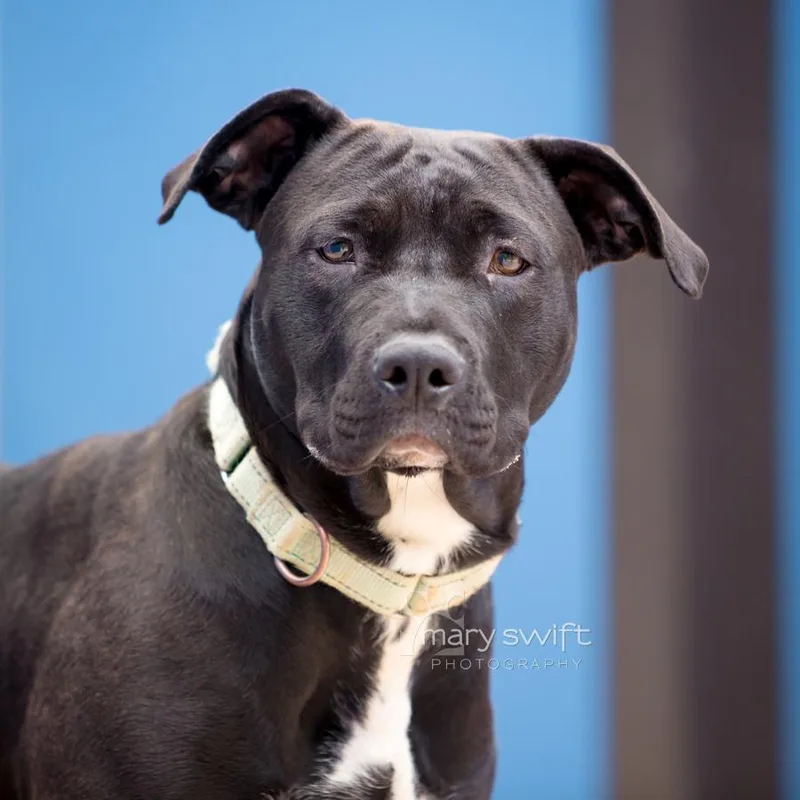 Lightning thumbnail 2