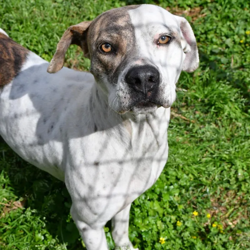 Nora Jean thumbnail 2