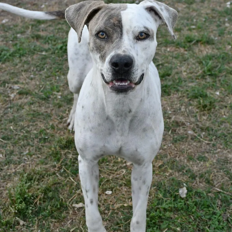 Nora Jean thumbnail 3