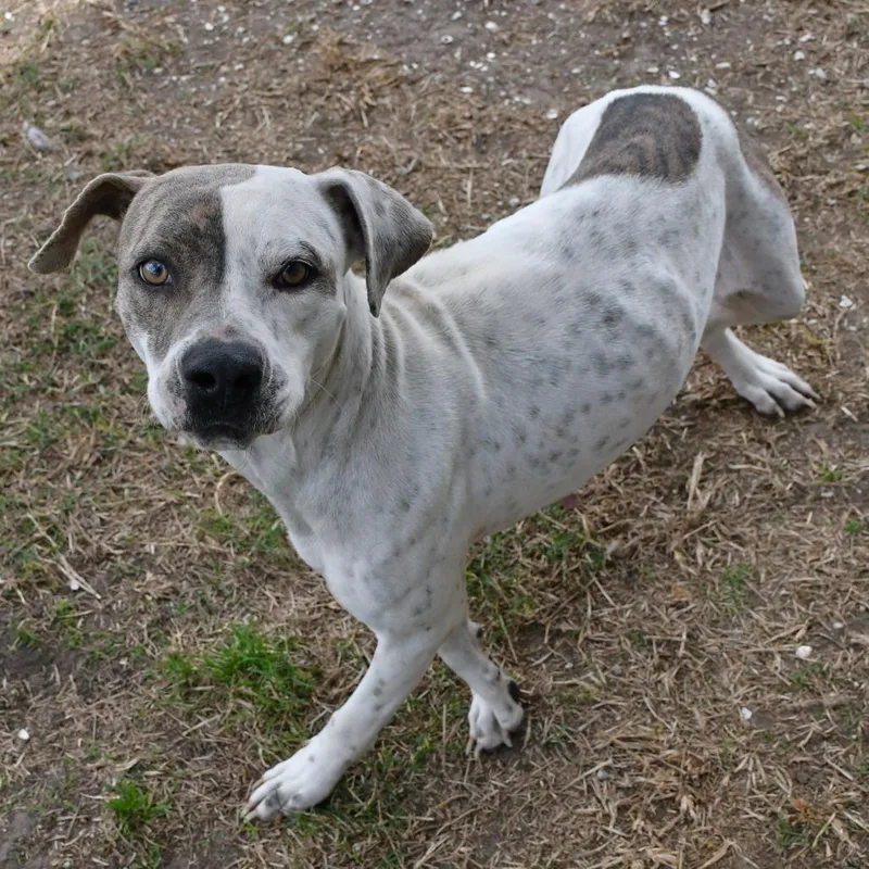 Nora Jean thumbnail 5