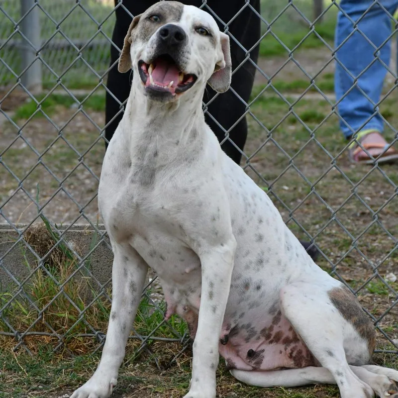 Nora Jean thumbnail 6