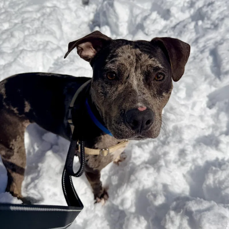 Midnight thumbnail 6