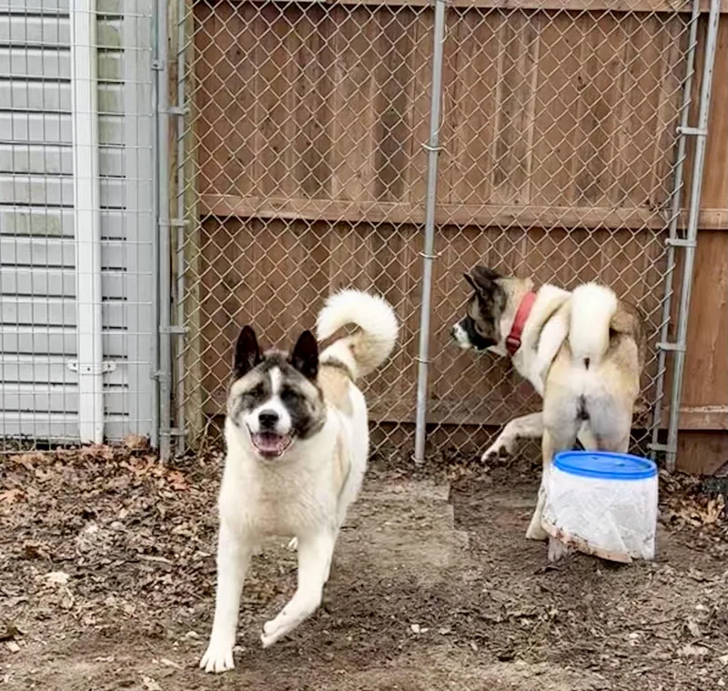 Gigi & Kobe thumbnail 2