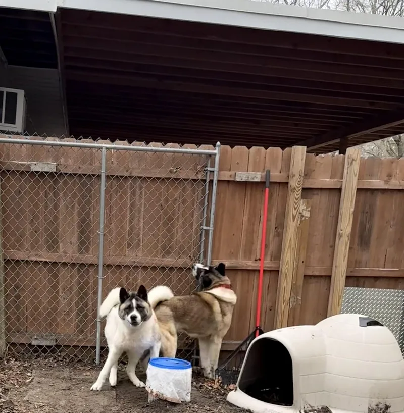 Gigi & Kobe thumbnail 3