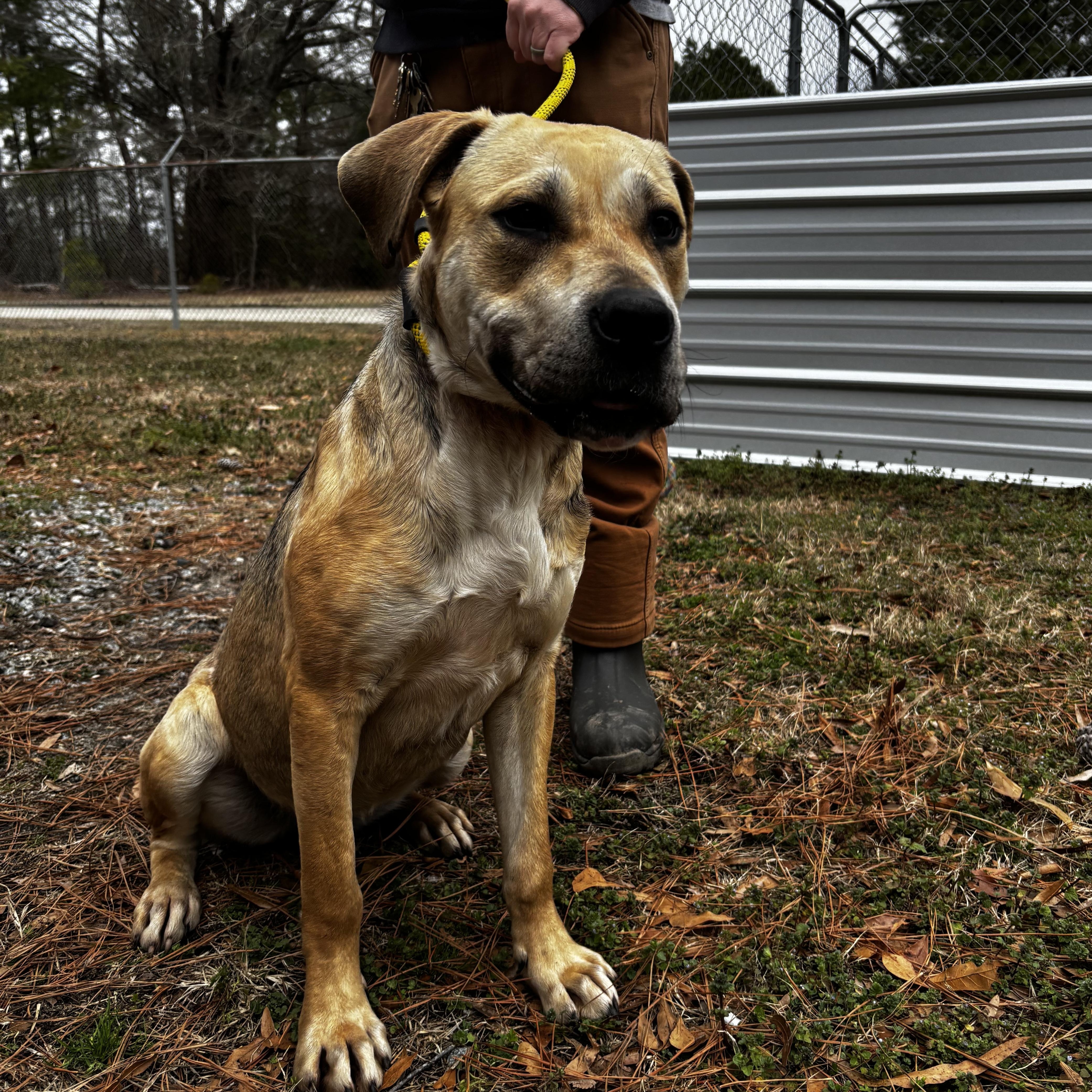 Kai  Precious Baby thumbnail 2