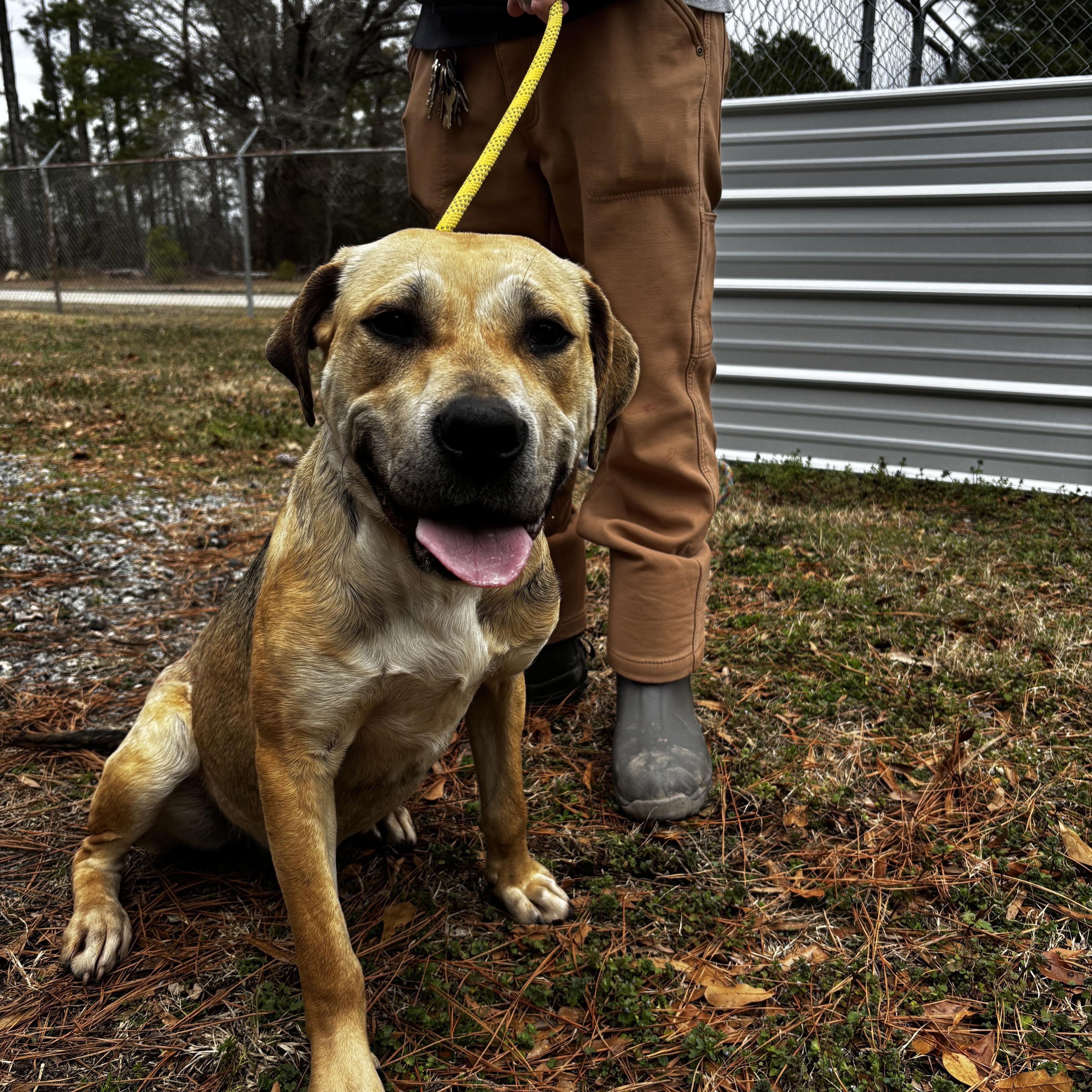 Kai  Precious Baby thumbnail 3