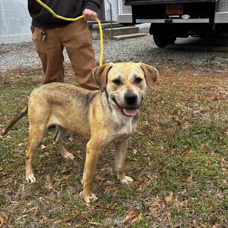 Kai  Precious Baby thumbnail 4