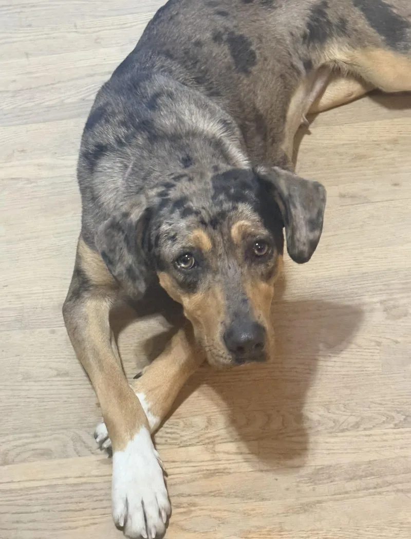 Minnie Lou thumbnail 2