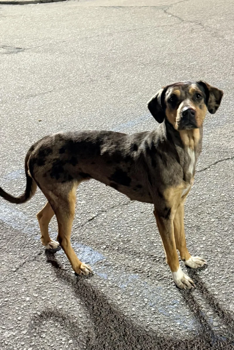 Minnie Lou thumbnail 3