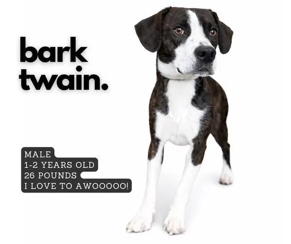 Bark Twain