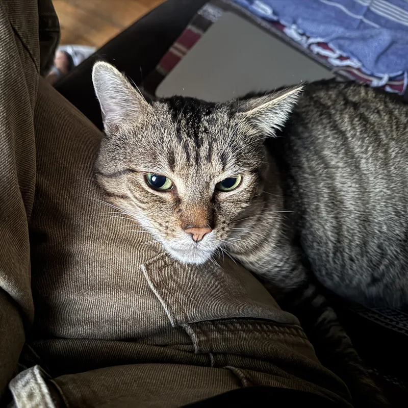 Rocky N  Sweet thumbnail 2