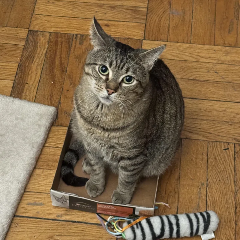 Rocky N  Sweet thumbnail 3