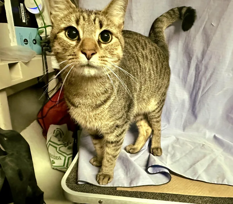 Declan N.  Big thumbnail 2