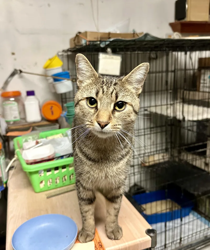 Declan N.  Big thumbnail 3